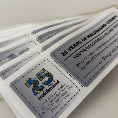 Silver Ticket Challenge Tickets