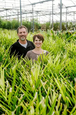 Two people in a greenhouse
