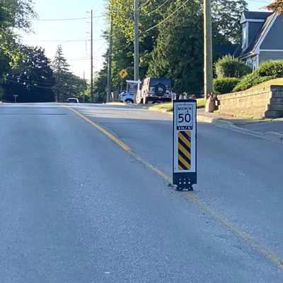 Example of a flexible bollard