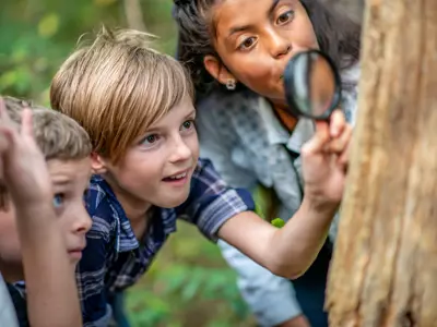 Kids Looking At Tree Bark With Magnifying Glass