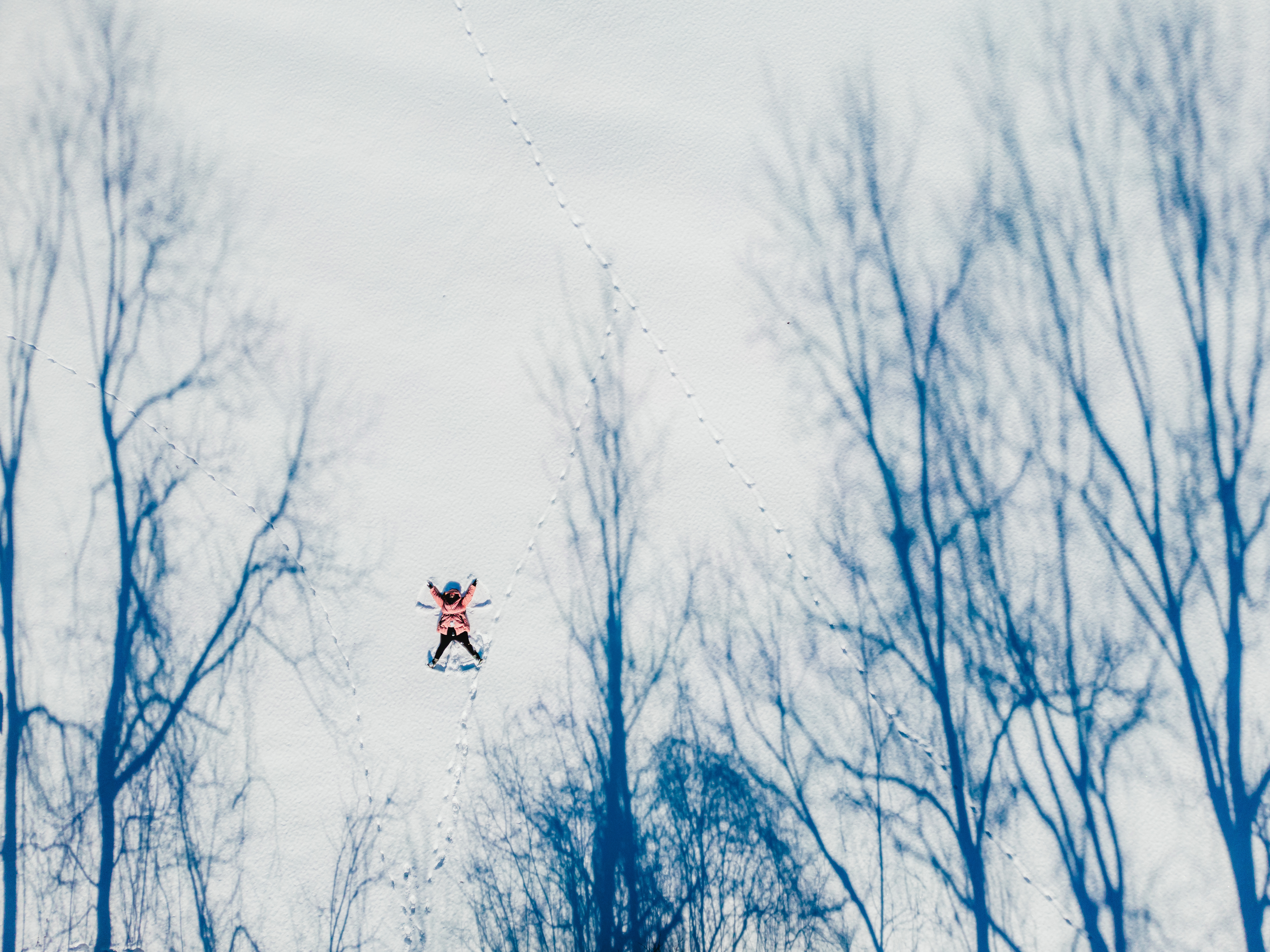 A woman in a pink winter jacket makes snow angels