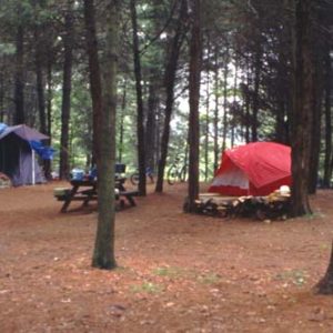 Two tents and a picnic table stand in a lovely wooded area