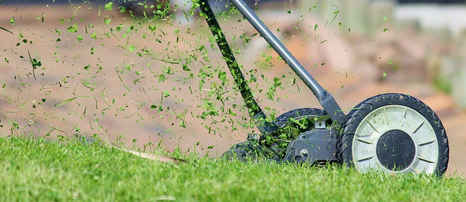 leave grass clippings on your lawn