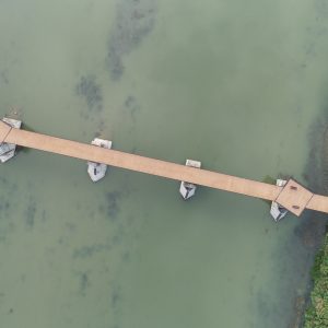 Cayuga Grand Vista Bridge Overview