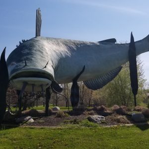 Fish Statue in Dunnville Centennial Park