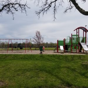playground equipment at Jarvis Lions Park