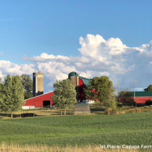 Cayuga Farm Scene watermark by Doug Miller