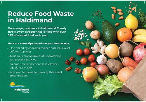 Examples of how to reduce food waste
