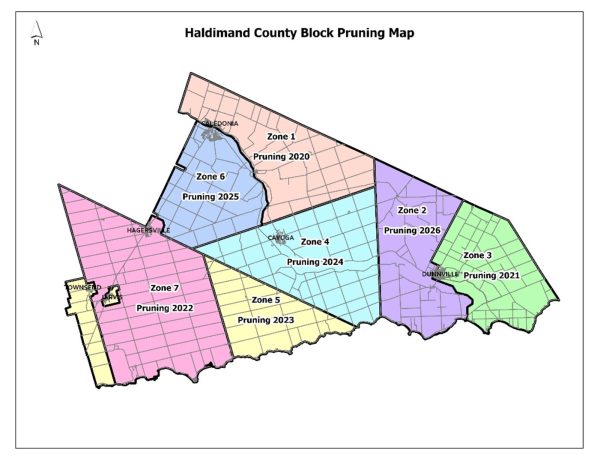 Map of pruning areas by block